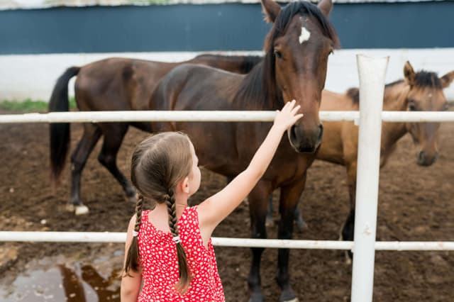 girl-petting-horse-at-ranch-kid-standing-near
